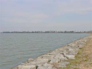 ���i�ΌΊ݌����i�T�j