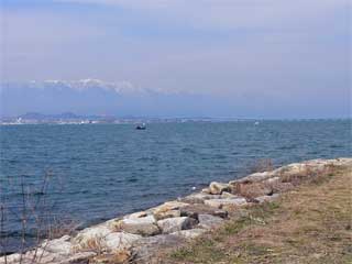 ���i�ΌΊ݌����i�V�j