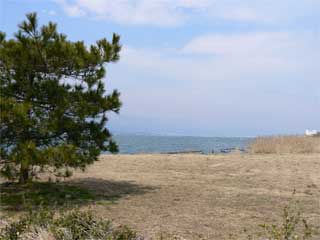 ���i�ΌΊ݌����i�W�j