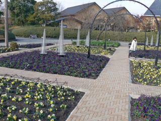 �����ɂ�