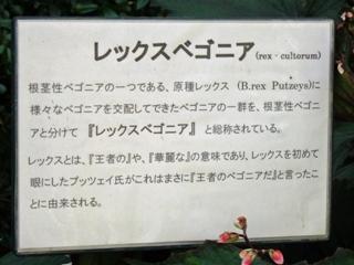 ����̐���