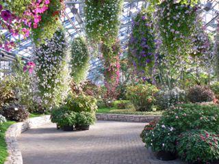 ����ɐi��