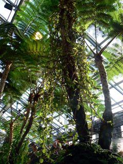 ���V�݂���