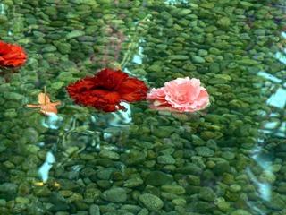 �����H��