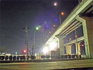 ���`�g���g��