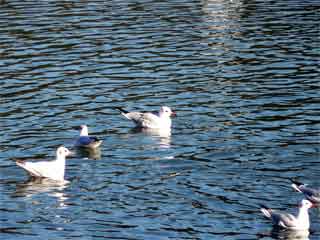 ����������