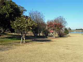 �������ɂ�